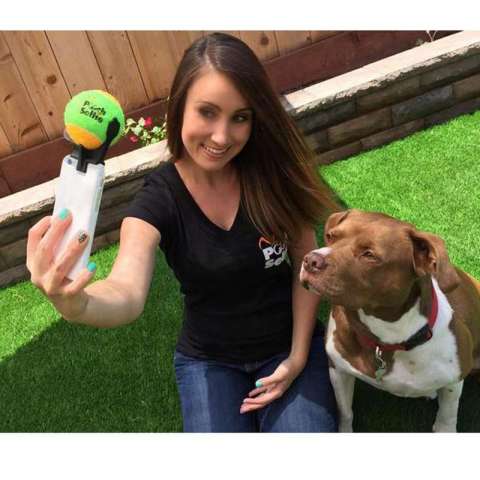 New pet products pet dog selfie tennis equipment, dog selfie artifact dog toy